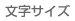 文字サイズ